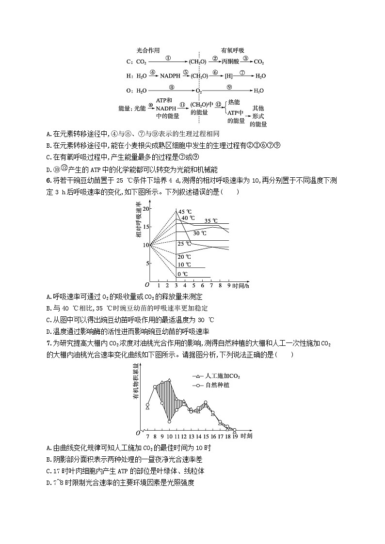 2024届新高考生物二轮总复习专题突破练4光合作用与细胞呼吸（附解析）第2页