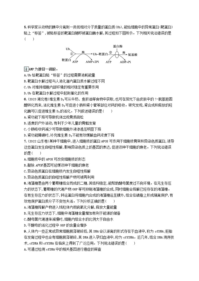 2024届新高考生物二轮总复习专题突破练1细胞的分子基础（附解析）第2页