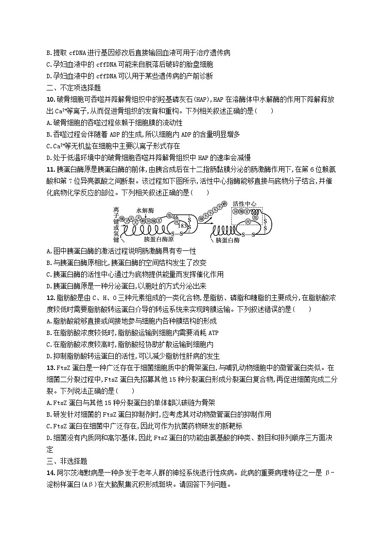 2024届新高考生物二轮总复习专题突破练1细胞的分子基础（附解析）第3页