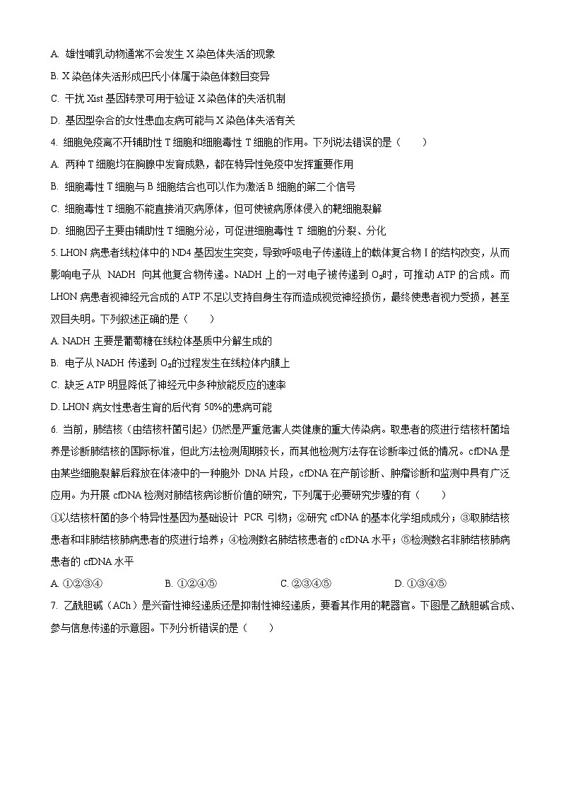 安徽省部分学校2023-2024学年高三下学期春季阶段性检测生物试题无答案第2页
