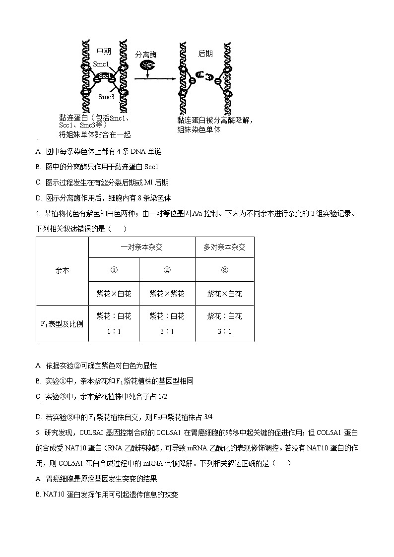 安徽省部分学校2023-2024学年高三下学期开学考试生物试题无答案第2页