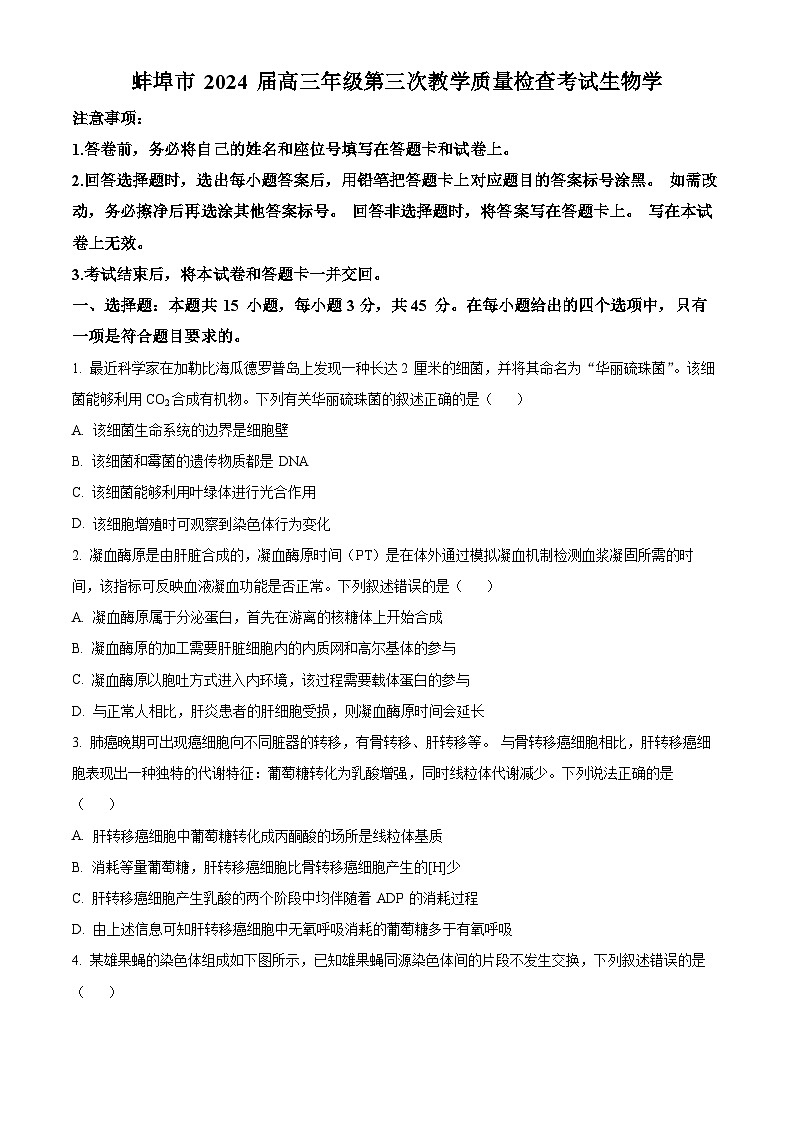 2024蚌埠高三下学期第三次教学质量检查考试生物试题含解析01