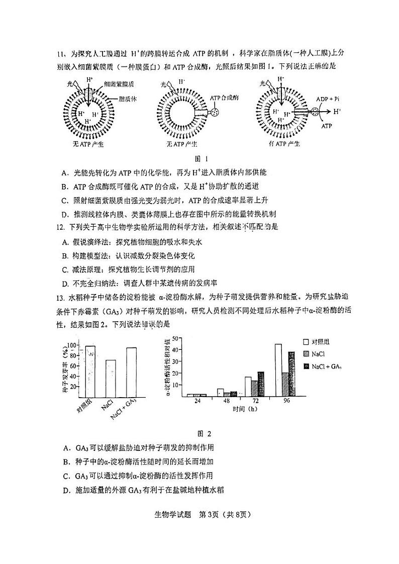 2024江门高三高考模拟考试（一）生物PDF版无答案03