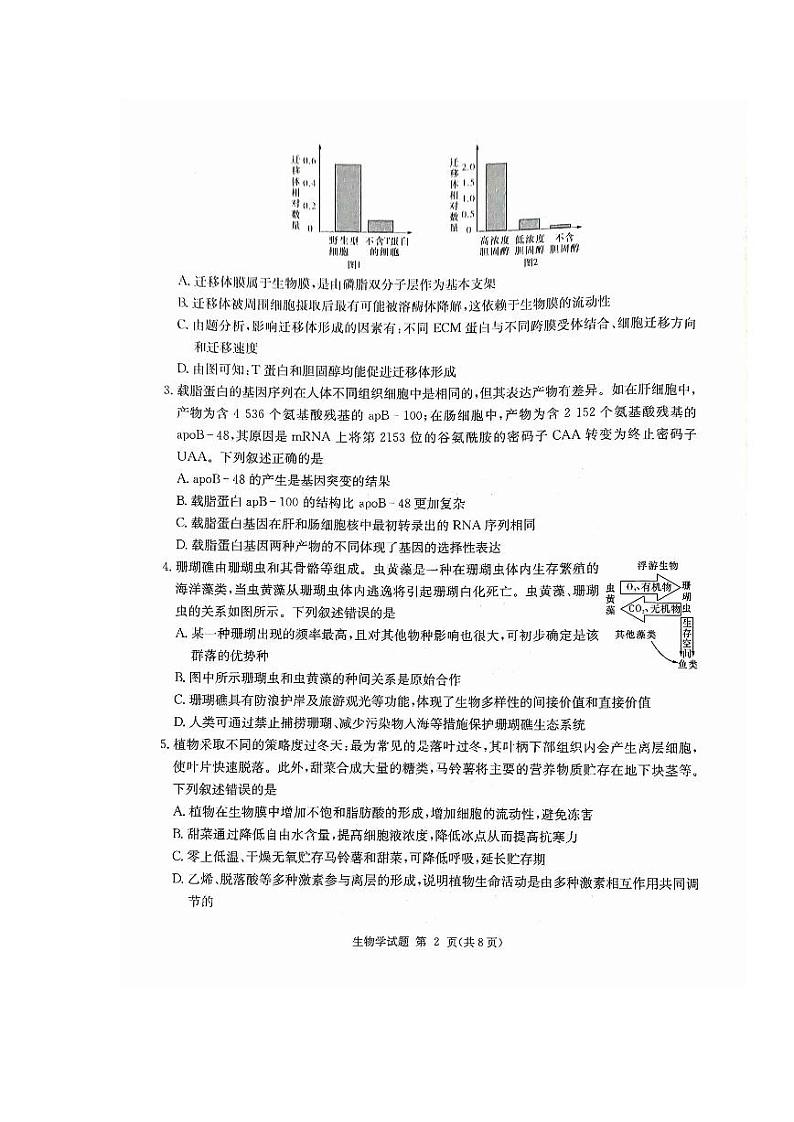 2024湖南省九校联盟高三下学期第二次联考试题生物PDF版含解析02