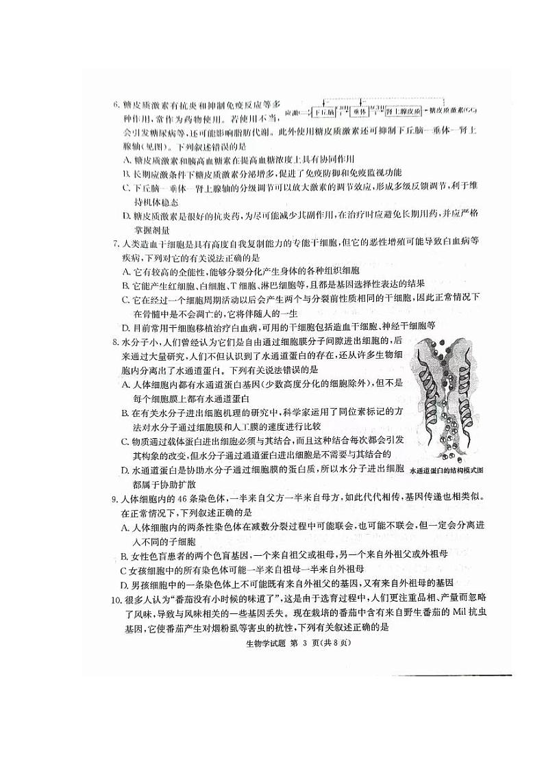 2024湖南省九校联盟高三下学期第二次联考试题生物PDF版含解析03