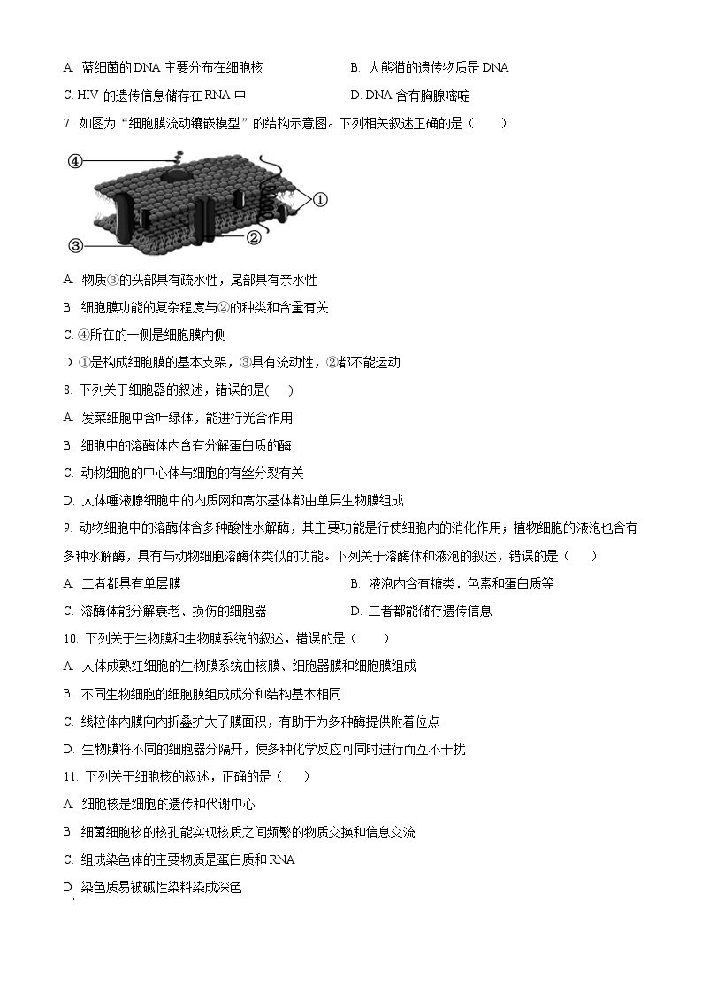 2024省大庆大庆中学高一下学期开学考试生物含解析02