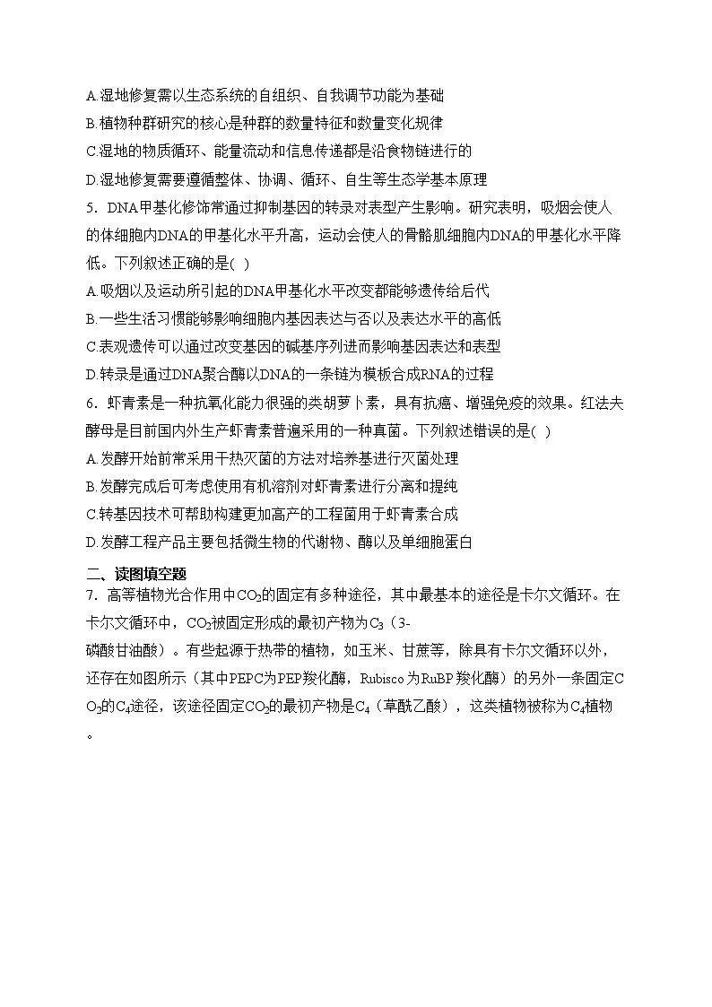 河南省2024届高三下学期适应性测试理综生物试卷(含答案)第2页