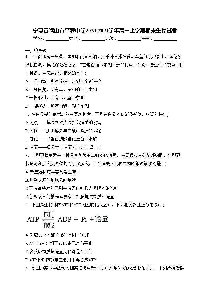 宁夏石嘴山市平罗中学2023-2024学年高一上学期期末生物试卷(含答案)01
