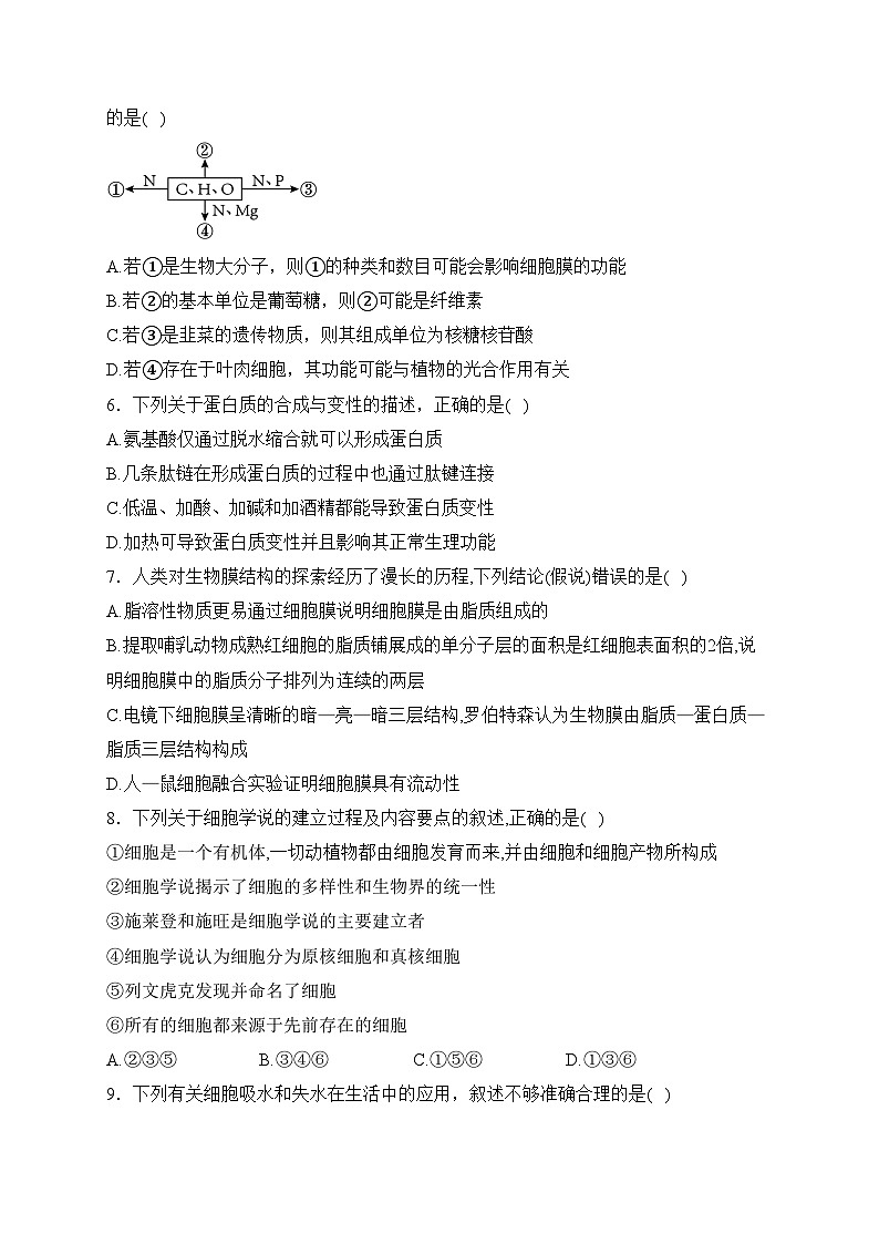 宁夏石嘴山市平罗中学2023-2024学年高一上学期期末生物试卷(含答案)02