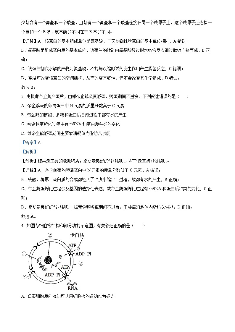 精品解析：湖南省益阳市博雅高级中学2023-2024学年高二上学期期末生物试题（解析版）第2页