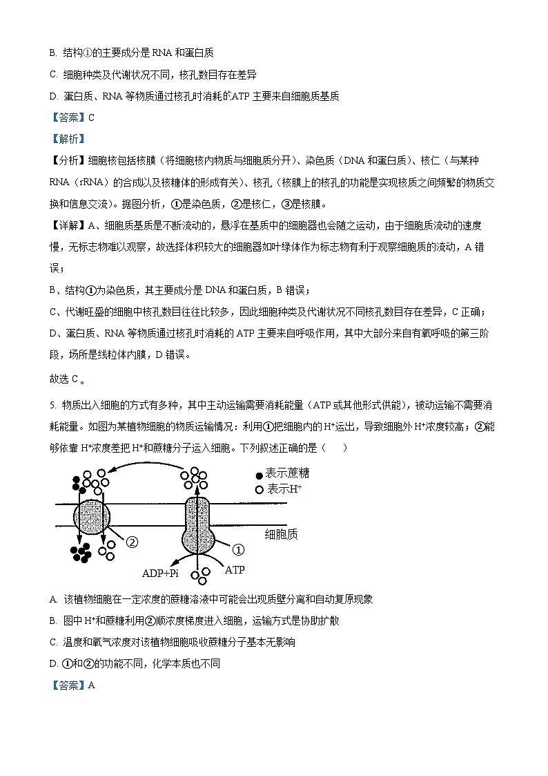 精品解析：湖南省益阳市博雅高级中学2023-2024学年高二上学期期末生物试题（解析版）第3页