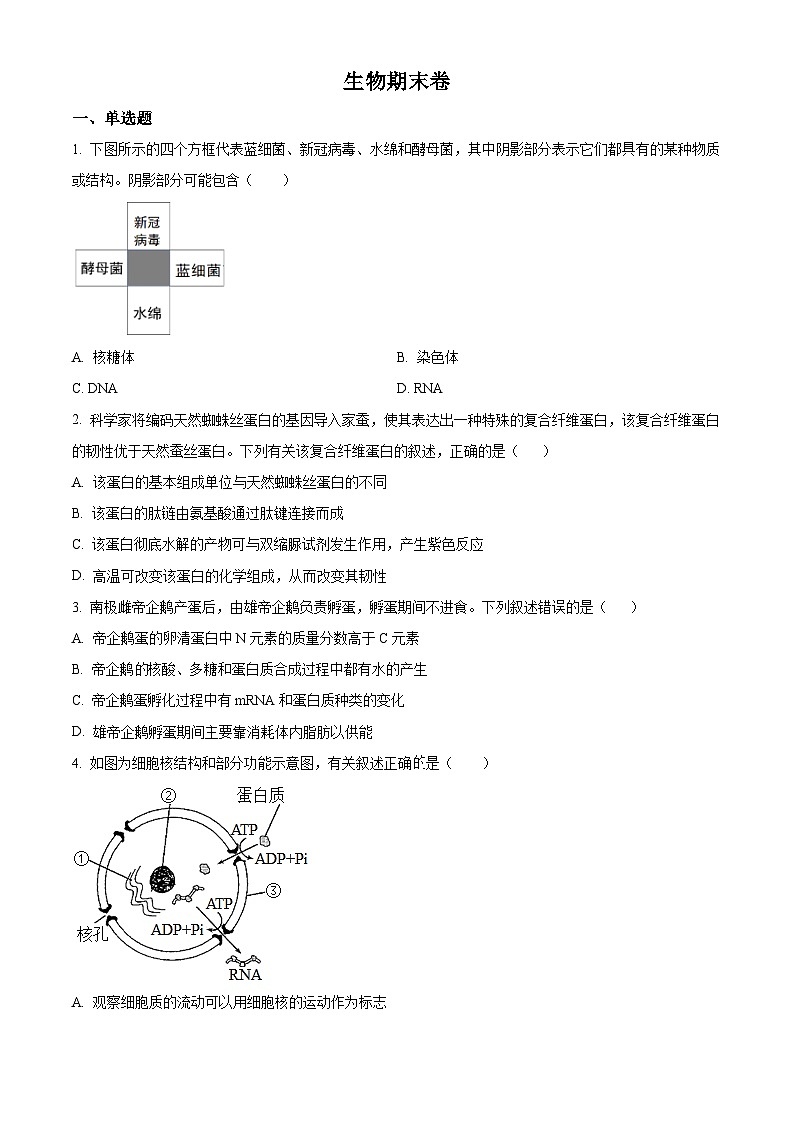 精品解析：湖南省益阳市博雅高级中学2023-2024学年高二上学期期末生物试题（原卷版）第1页