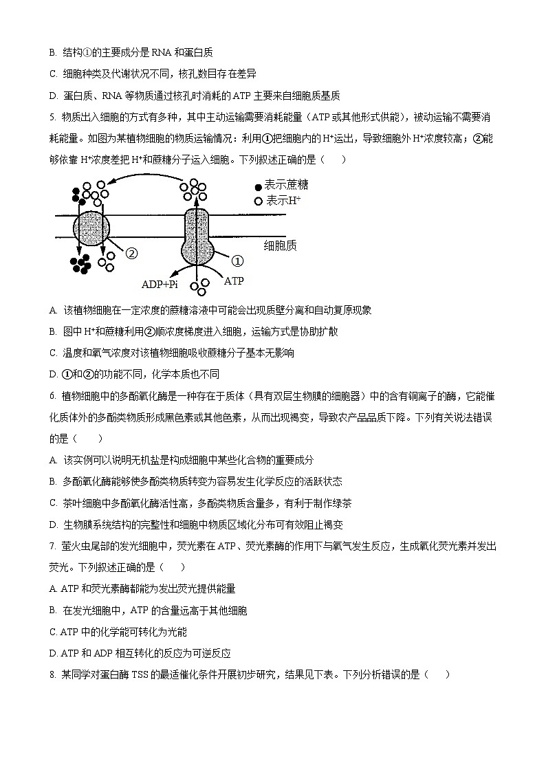 精品解析：湖南省益阳市博雅高级中学2023-2024学年高二上学期期末生物试题（原卷版）第2页