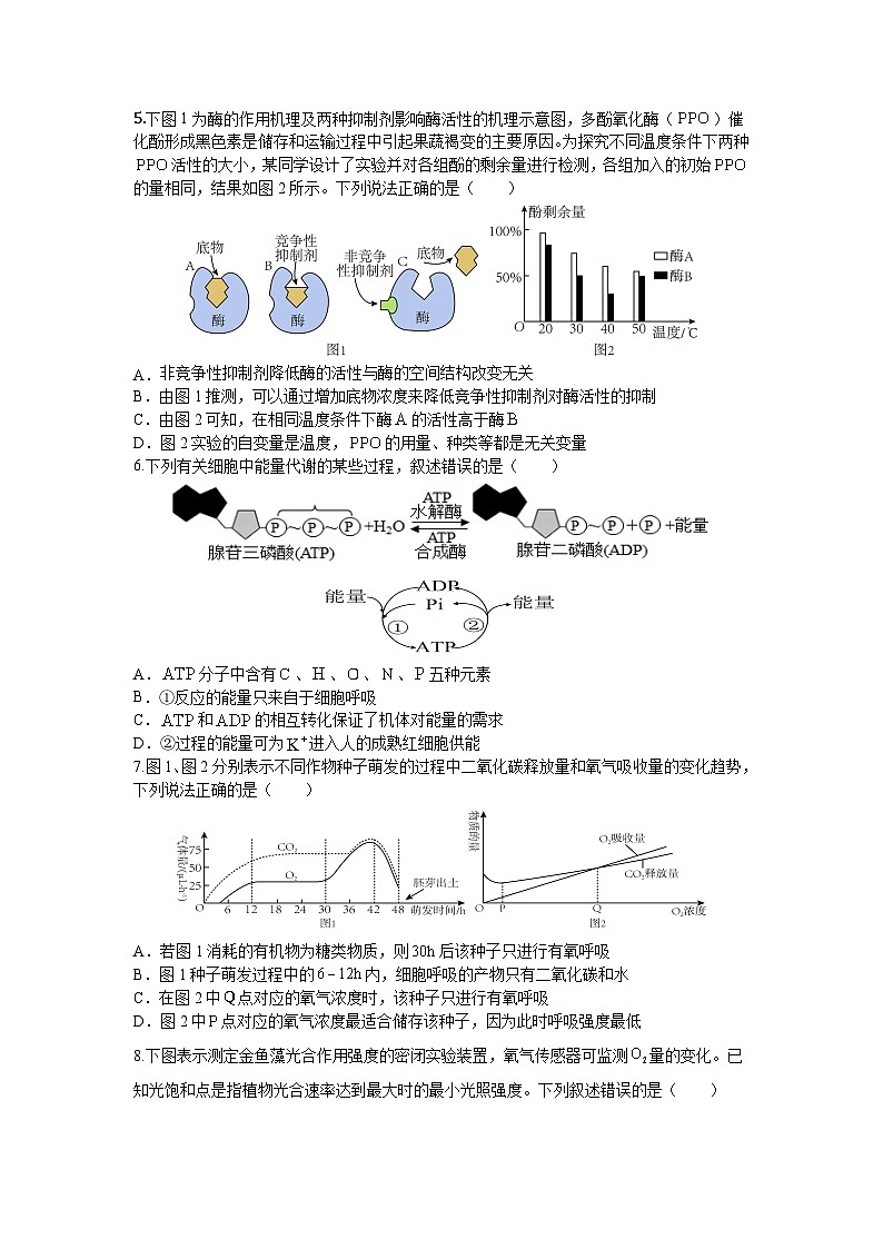 河北省沧州市盐山县盐山中学2023-2024学年高一上学期开学生物试题02