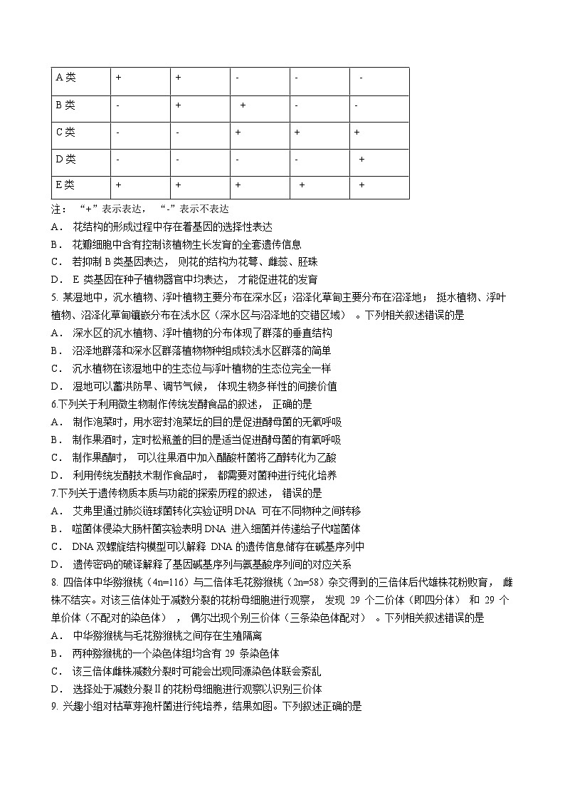 2024届福建省泉州市高三下学期毕业班质量监测（三）生物试题(无答案)第2页