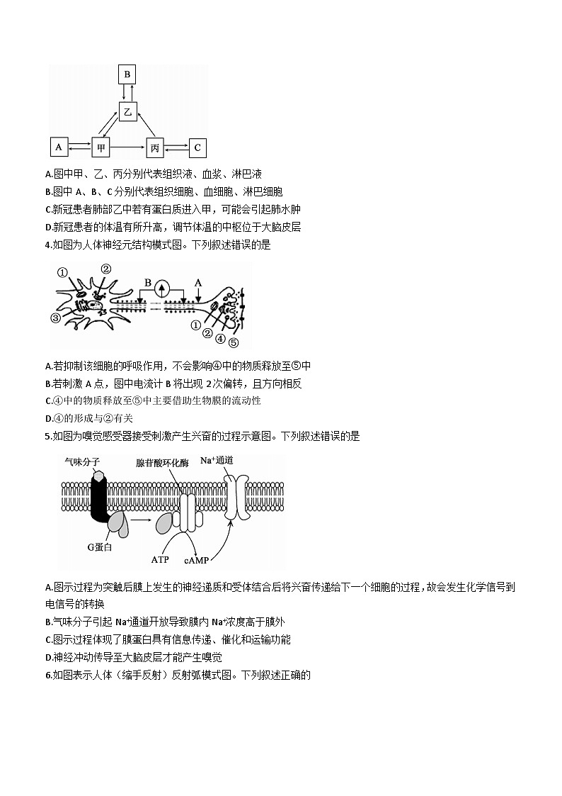 广东省广州市七校2023-2024学年高二上学期期中联考生物试题02