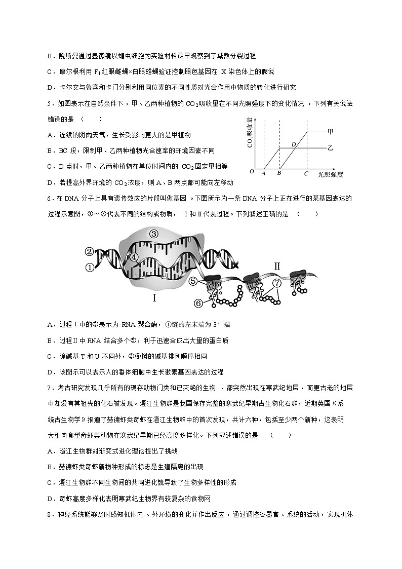 广东省四地2023_2024高三生物上学期四校10月联考试题第2页