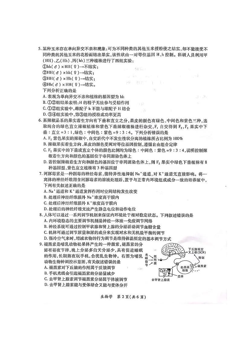 江西省2024届高三下学期二轮复习阶段性检测（二模）生物试卷（PDF版附解析）第2页