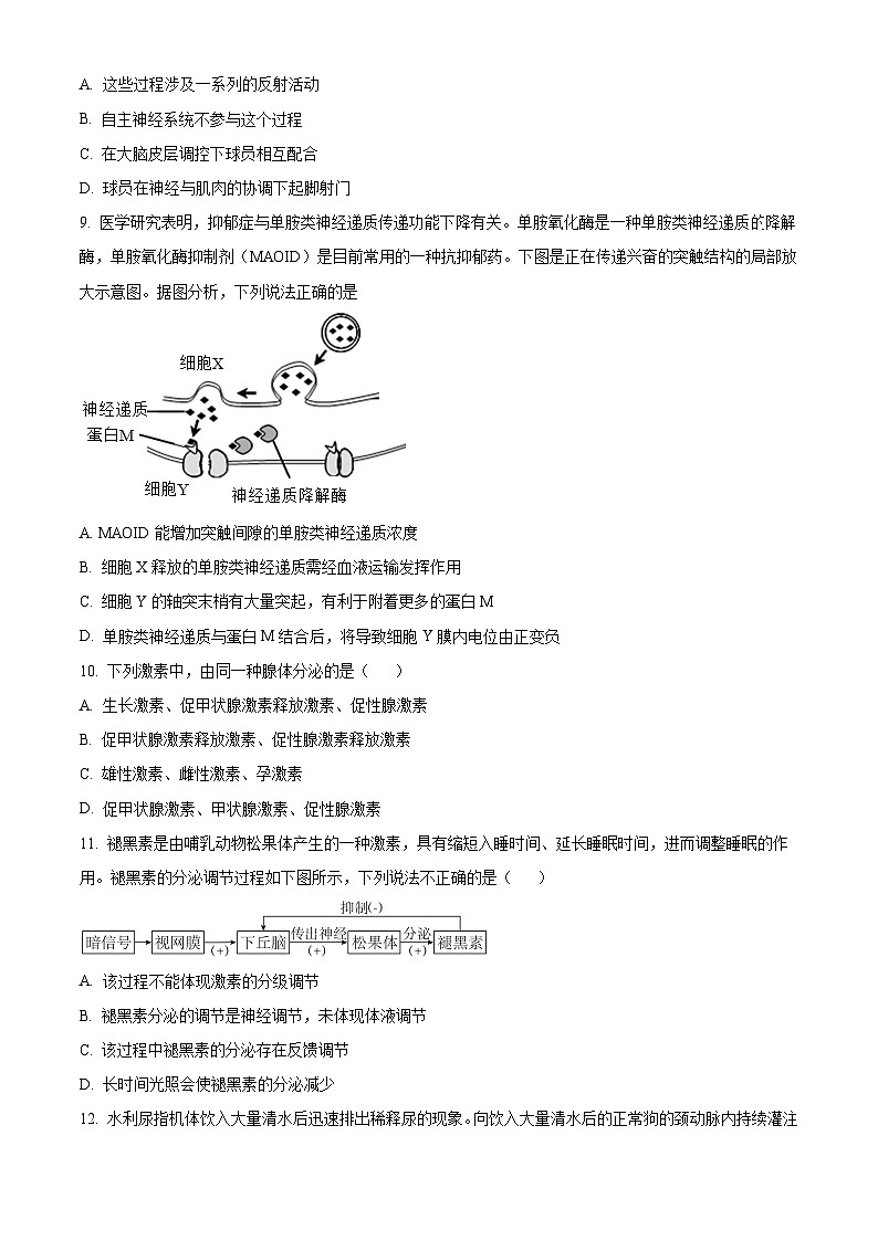 安徽省合肥市六校联盟2023-2024学年高二上学期1月期末考试生物试卷（Word版附解析）03