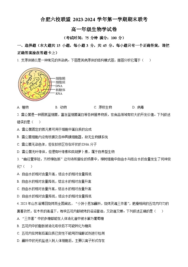 安徽省合肥市六校联盟2023-2024学年高一1月期末生物试题  Word版无答案第1页