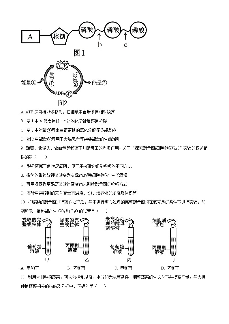 安徽省合肥市六校联盟2023-2024学年高一1月期末生物试题  Word版无答案第3页