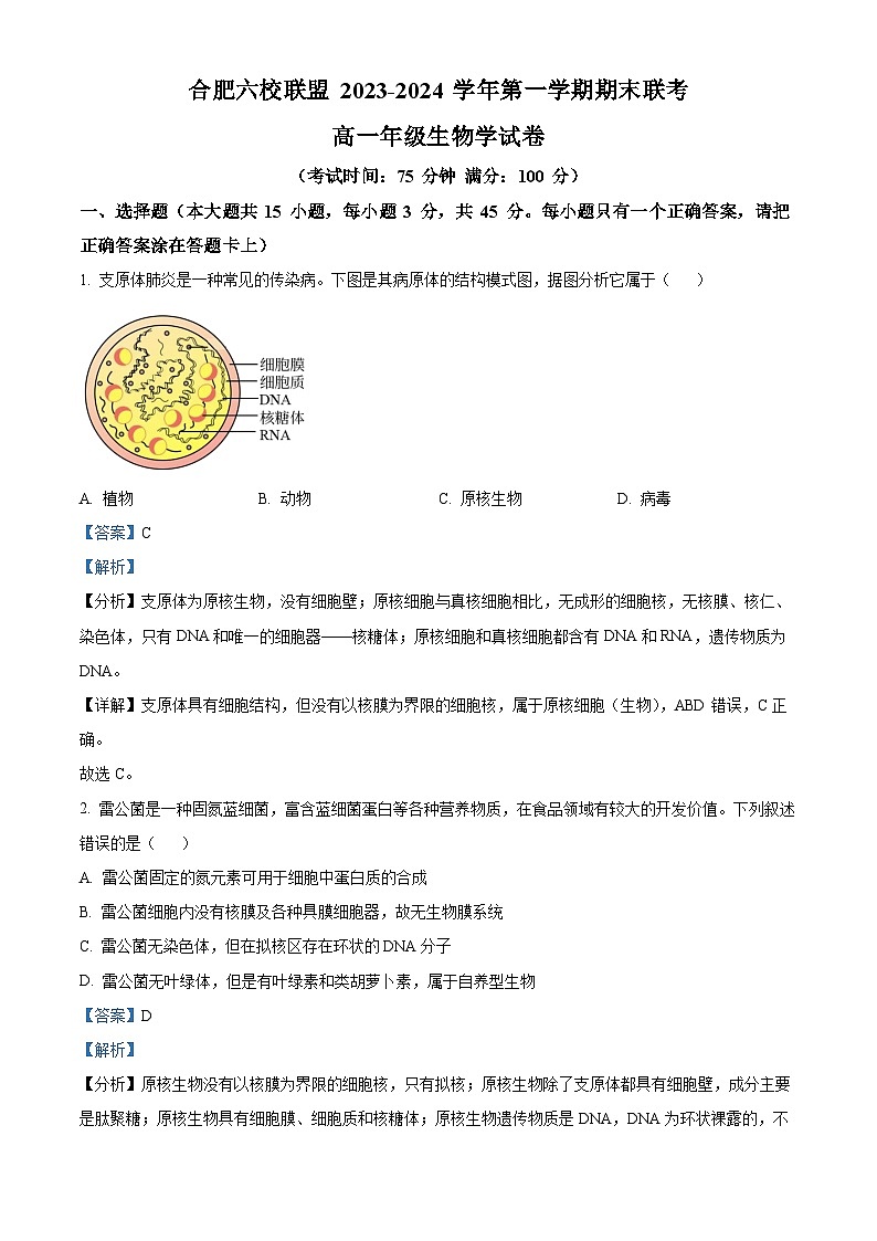 安徽省合肥市六校联盟2023-2024学年高一1月期末生物试题  Word版含解析第1页