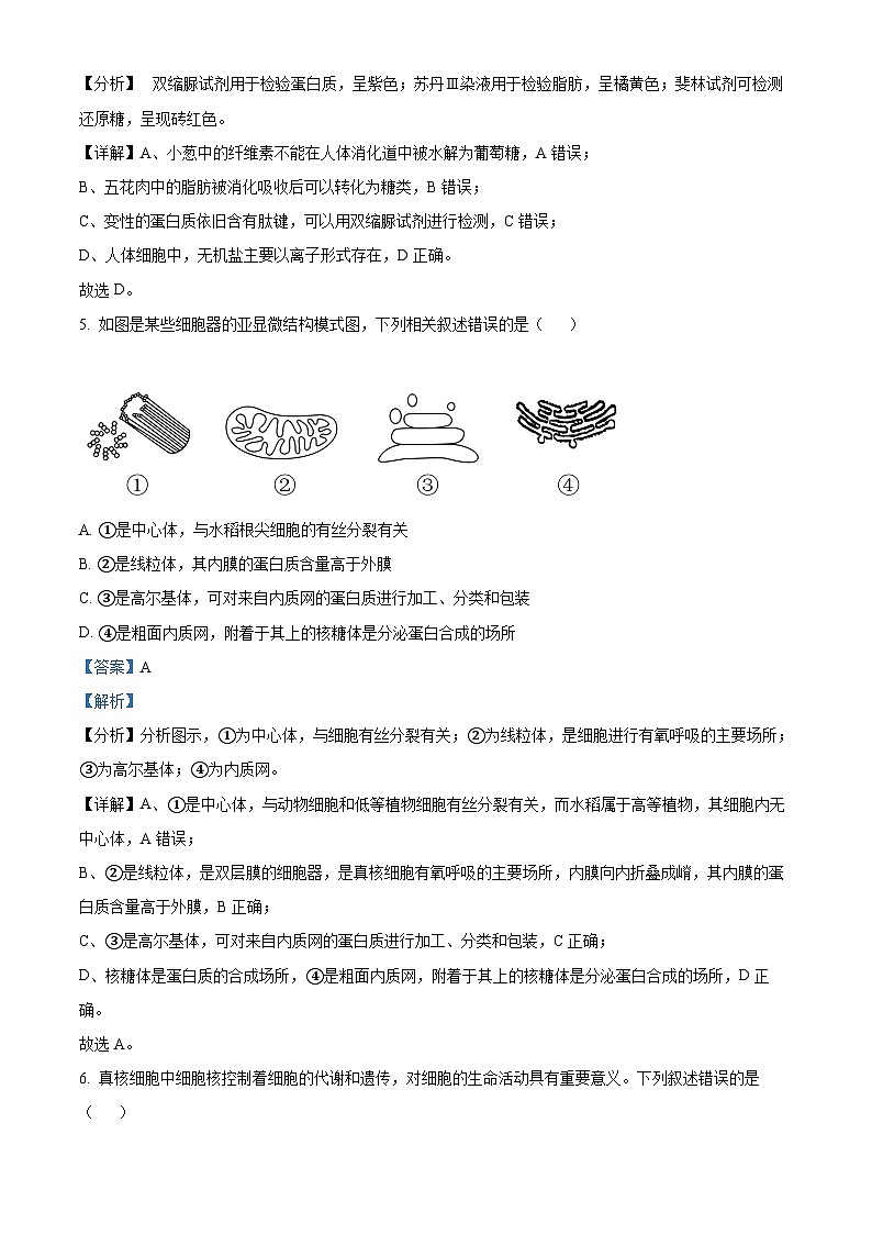 安徽省合肥市六校联盟2023-2024学年高一1月期末生物试题  Word版含解析第3页