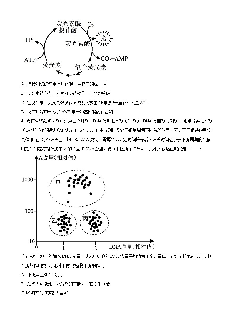 安徽省黄山市2023-2024学年高三下学期第一次质量检测生物试卷（Word版附解析）02