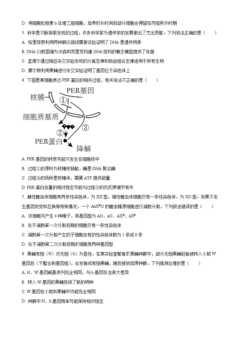 安徽省黄山市2023-2024学年高三下学期第一次质量检测生物试卷（Word版附解析）03