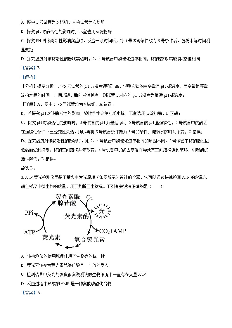 安徽省黄山市2023-2024学年高三下学期第一次质量检测生物试卷（Word版附解析）02