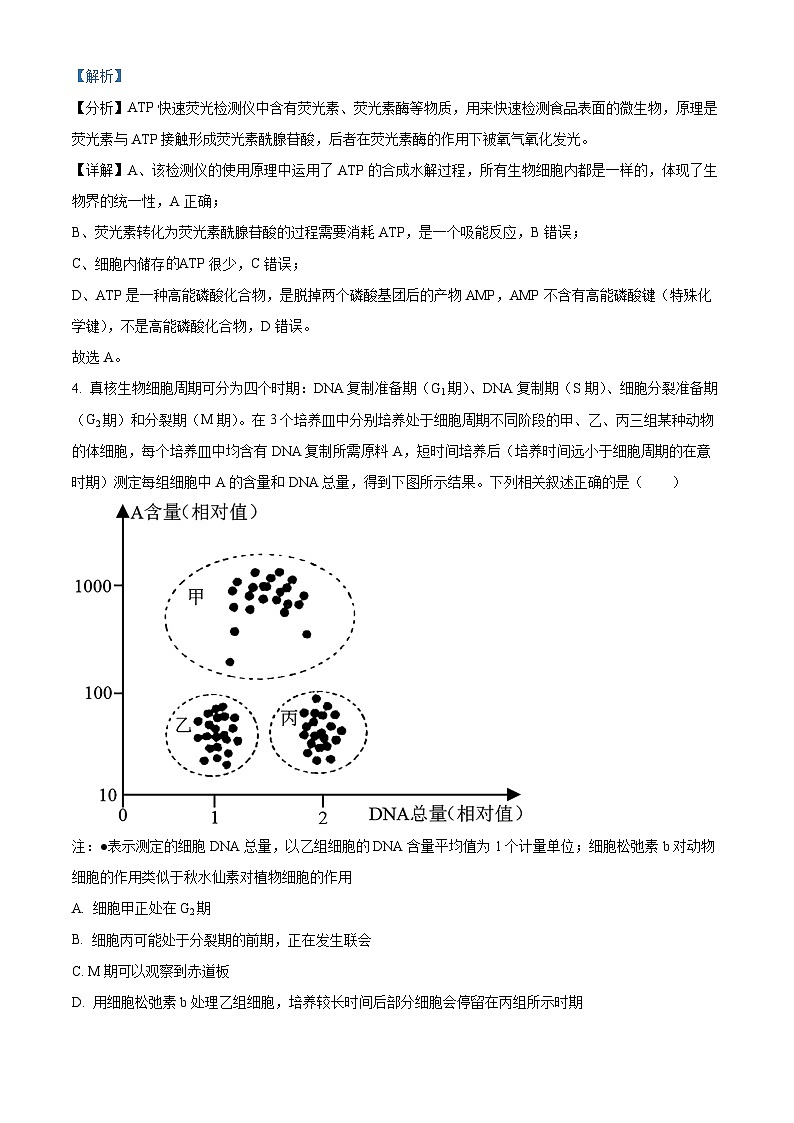 安徽省黄山市2023-2024学年高三下学期第一次质量检测生物试卷（Word版附解析）03