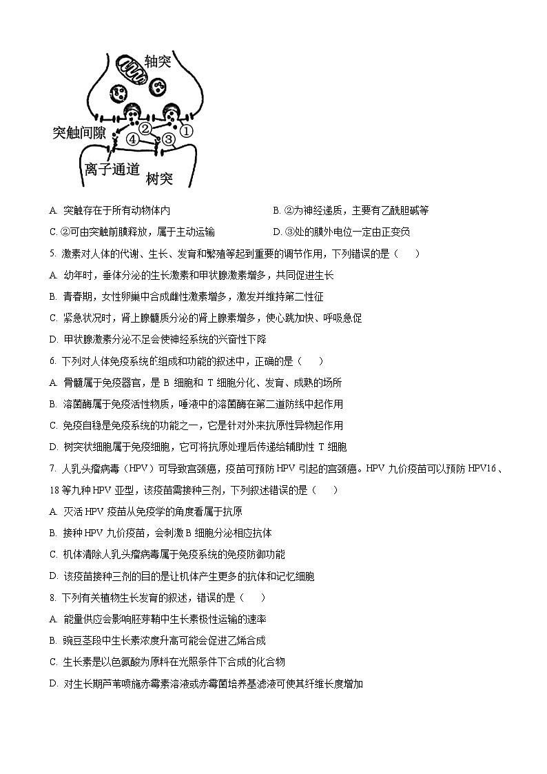 四川省自贡市第一中学2023-2024学年高二下学期开学考试生物试卷（Word版附解析）02