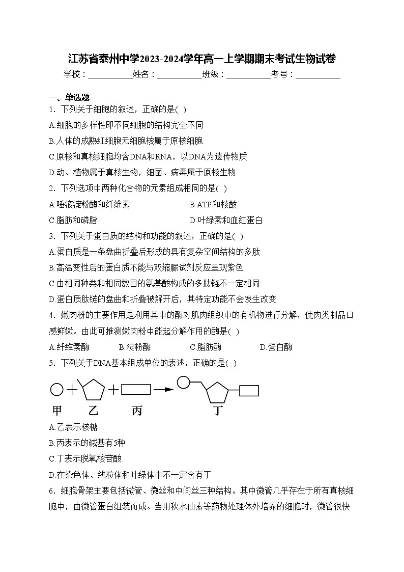 江苏省泰州中学2023-2024学年高一上学期期末考试生物试卷(含答案)01