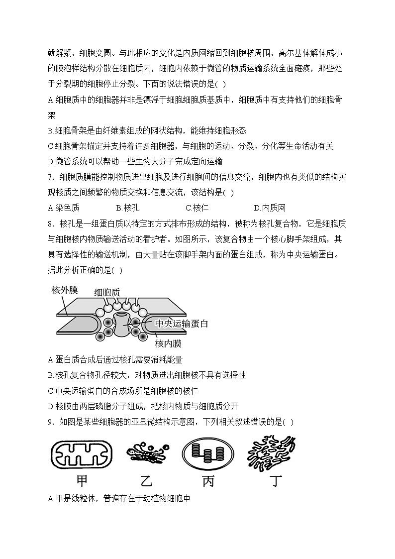 江苏省泰州中学2023-2024学年高一上学期期末考试生物试卷(含答案)02