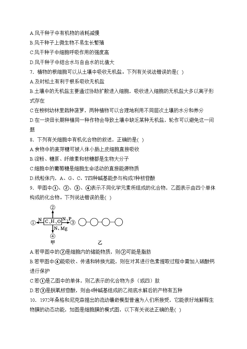 柳州高级中学2023-2024学年高一上学期期末考试生物试卷(含答案)第2页