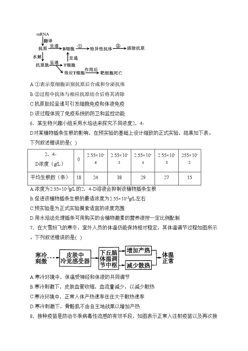 四川省眉山市仁寿县两校2023-2024学年高二下学期开学联考生物试卷(含答案)第3页
