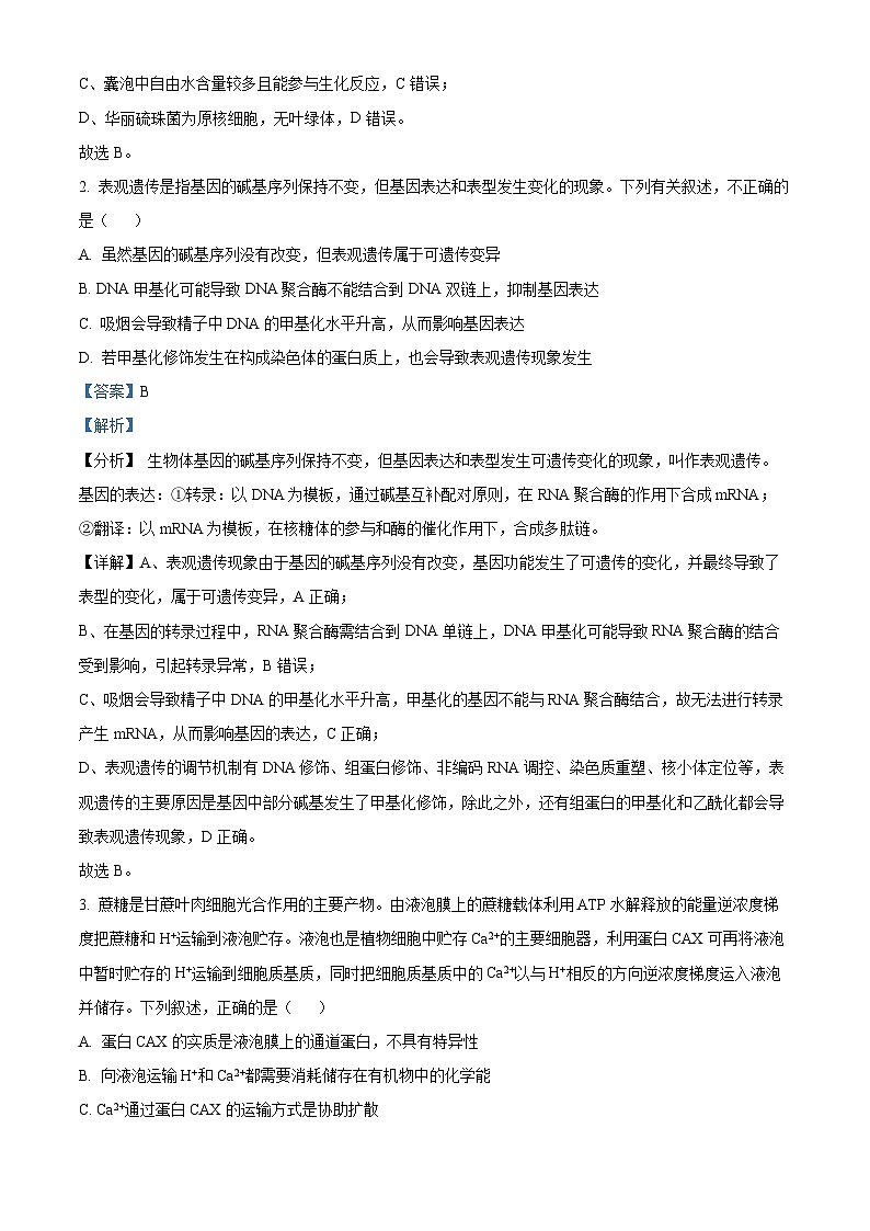 2024届吉林省延边州高三下学期教学质量检测（一模）生物试题（解析版）02