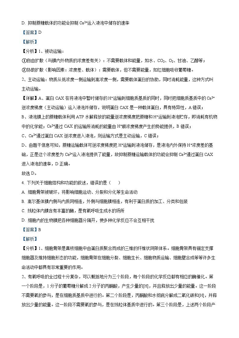 2024届吉林省延边州高三下学期教学质量检测（一模）生物试题（解析版）03