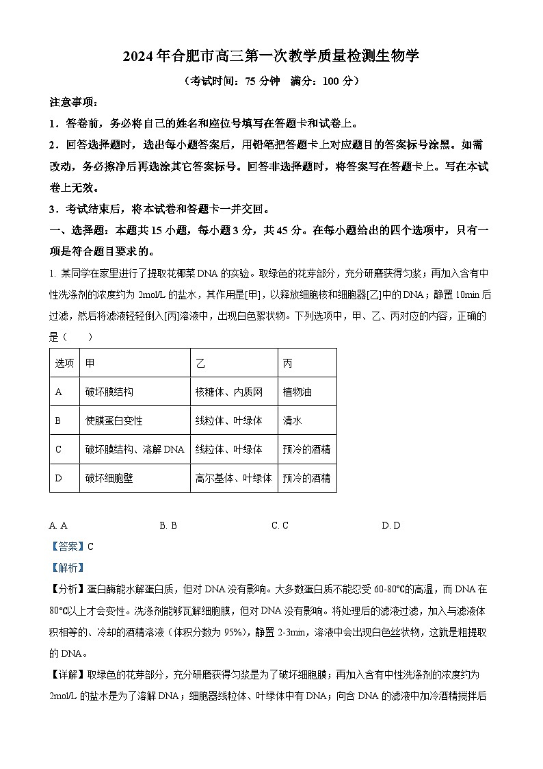 2024届安徽省合肥市高三一模生物试题  Word版含解析第1页