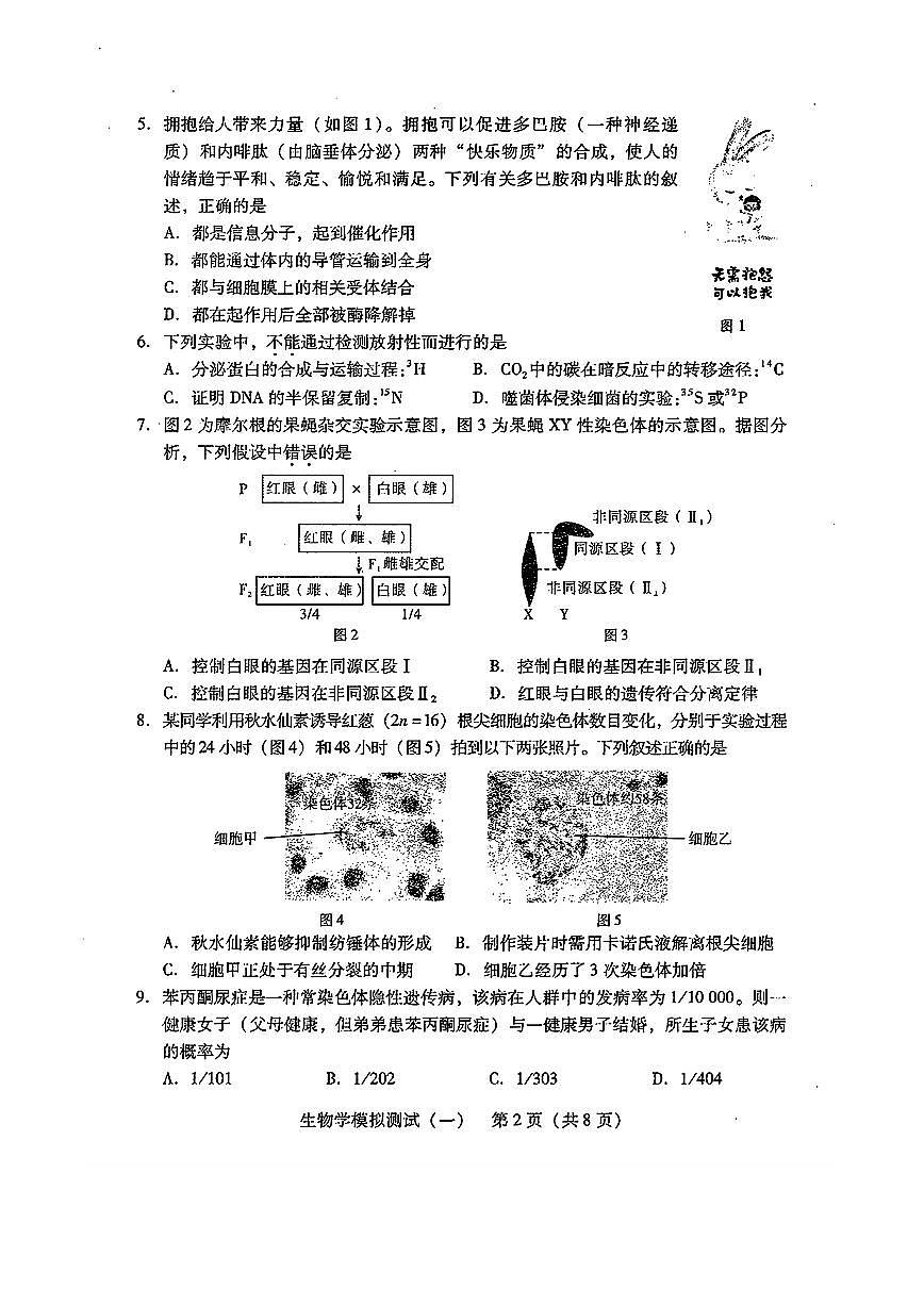 2024年广东一模【生物】试题+答案第2页