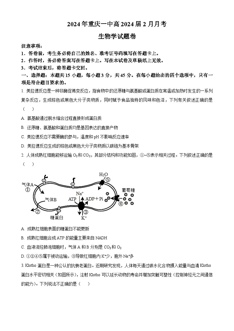 2024重庆市一中高三下学期2月月考试题生物含解析第1页