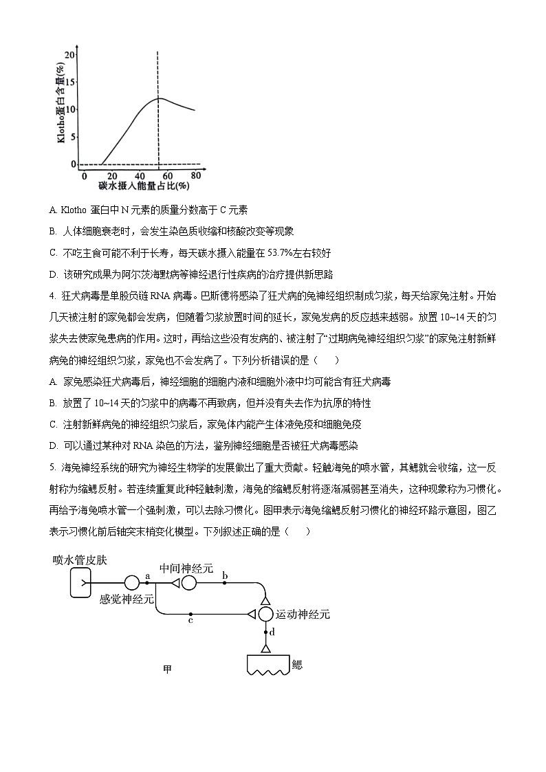 2024重庆市一中高三下学期2月月考试题生物含解析第2页