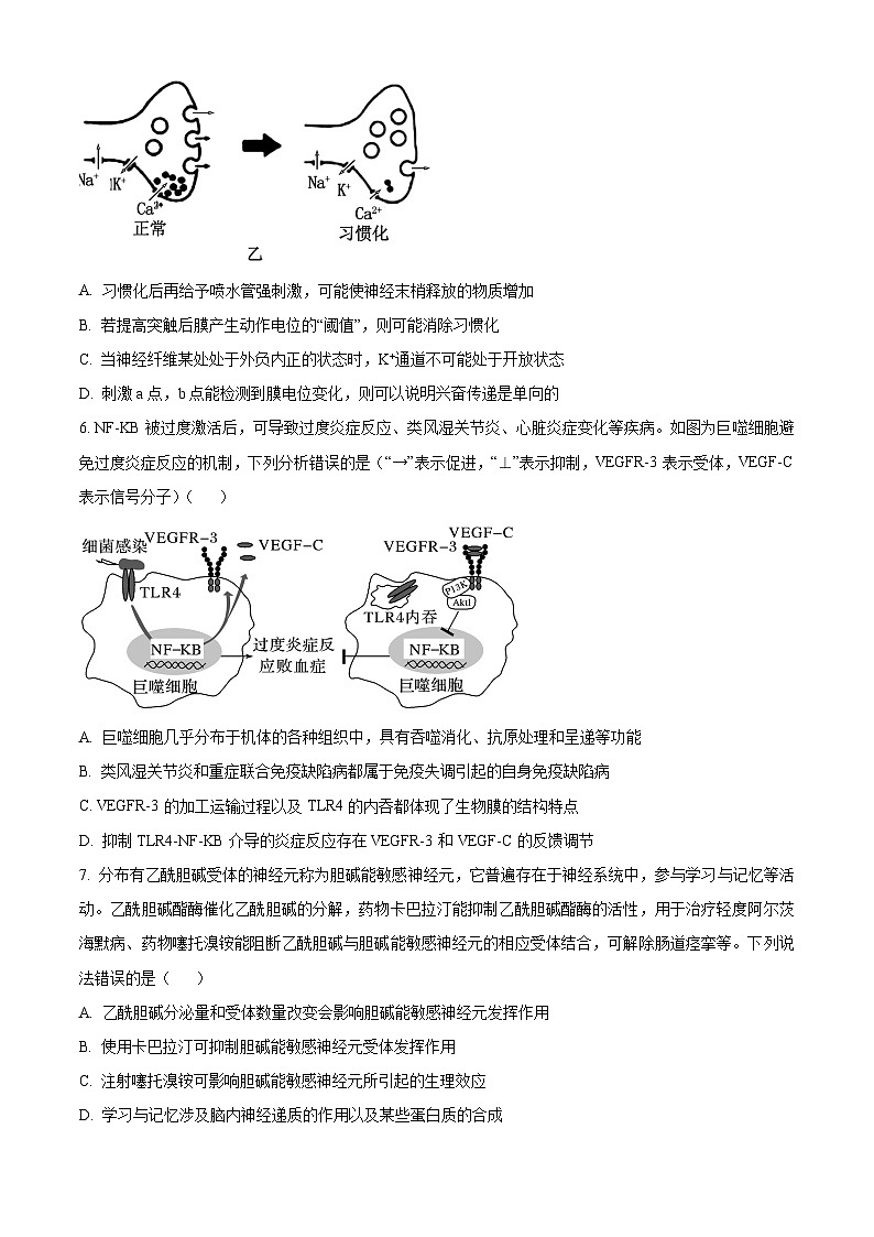 2024重庆市一中高三下学期2月月考试题生物含解析第3页