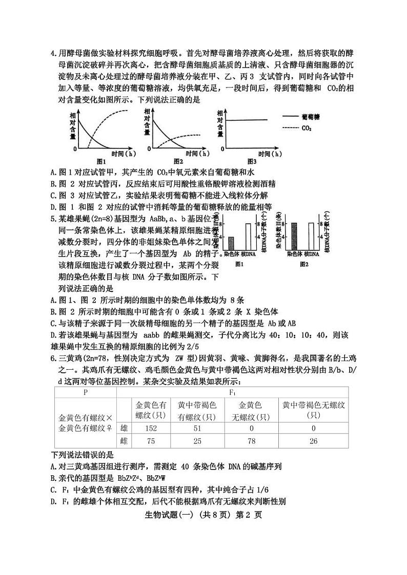 2024聊城高三高考模拟试题（一）生物PDF版无答案第2页