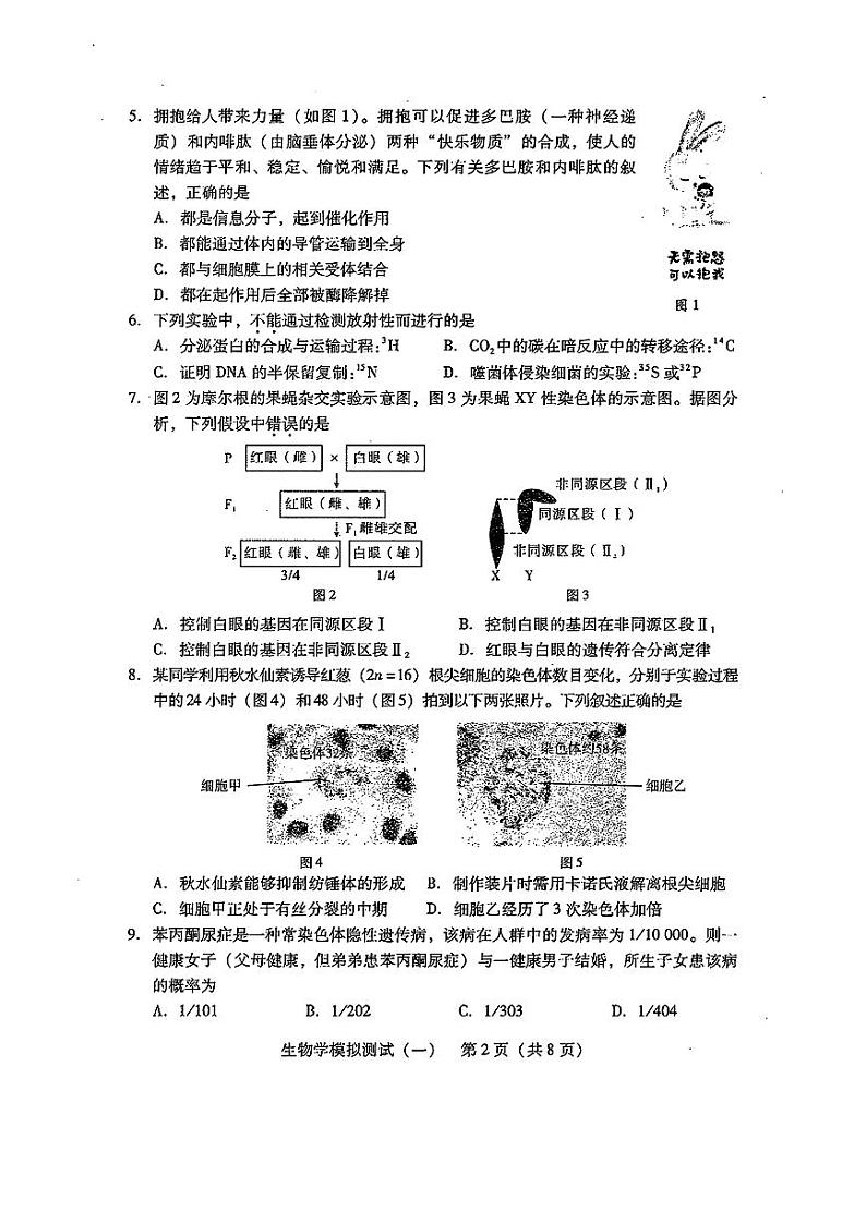 2024广东省高三下学期3月一模试题生物PDF版含答案02