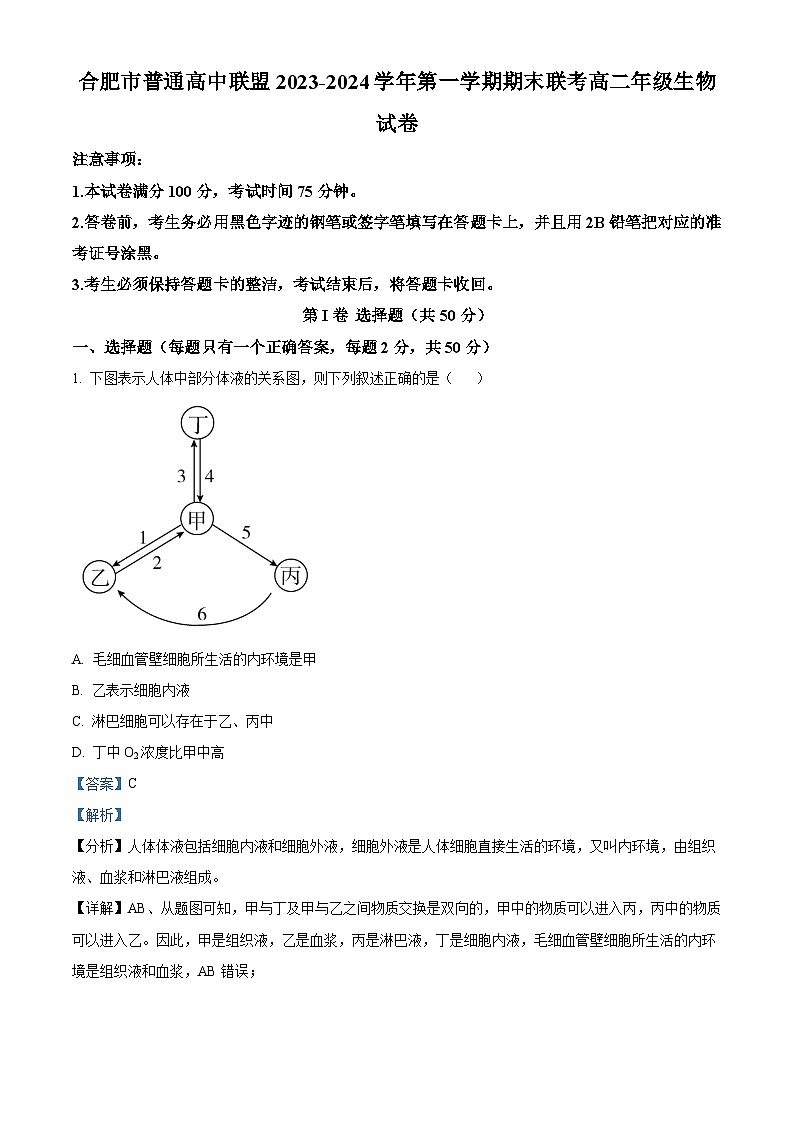 2024合肥六校联盟高二上学期1月期末考试生物含解析01