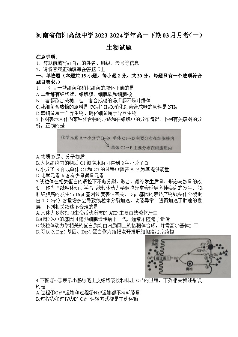 2024信阳高级中学高一下期3月月考试题生物含答案第1页