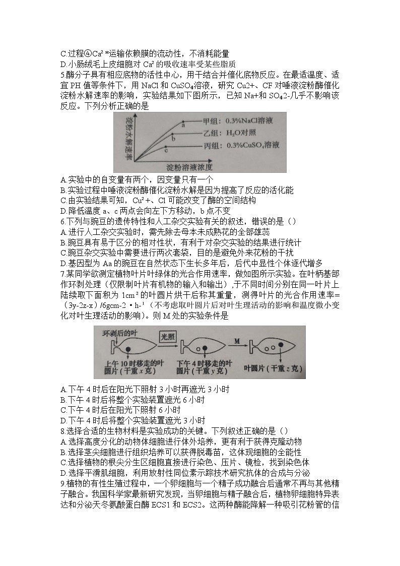 2024信阳高级中学高一下期3月月考试题生物含答案第2页