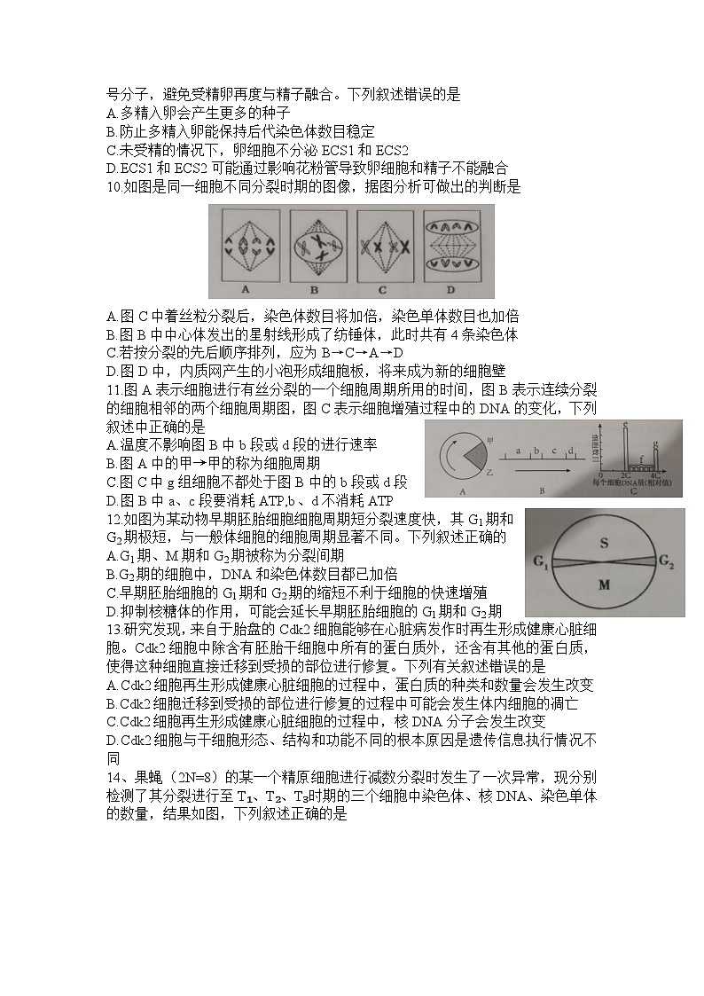 2024信阳高级中学高一下期3月月考试题生物含答案第3页