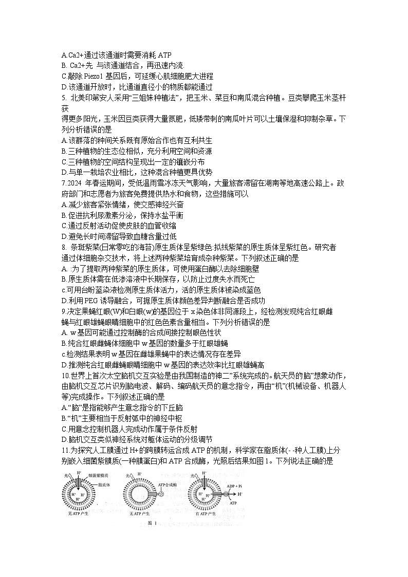 广东省江门市2024年高考模拟考试（一）生物试题及答案02